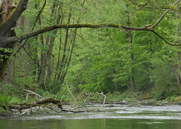 Gerstmann Appartement Eslohe